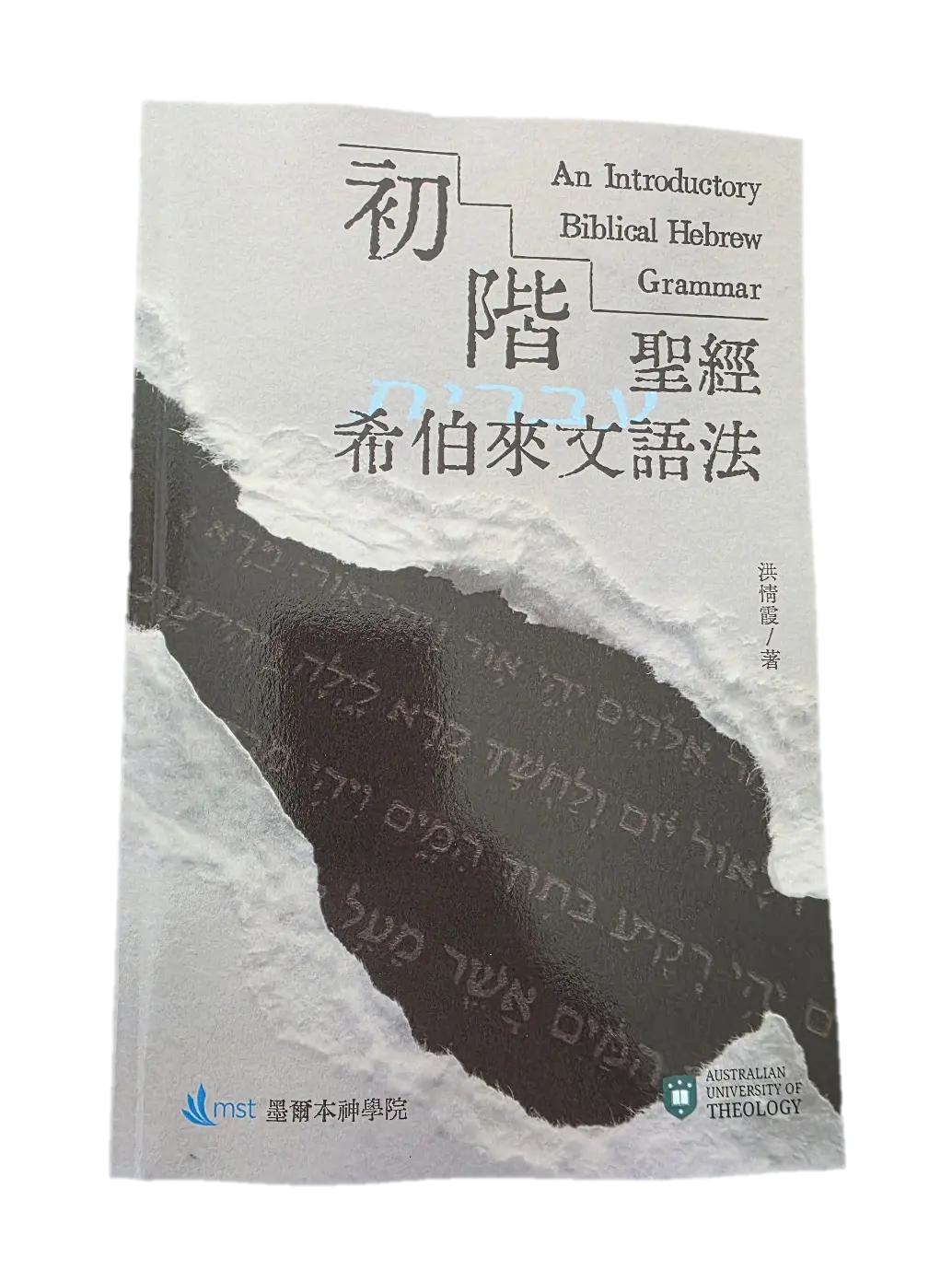 An Introductory Biblical Hebrew Grammar 